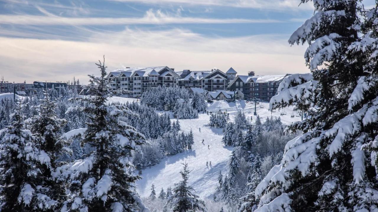 Snowshoe Ski-In & Ski-Out At Silvercreek Resort - Family Friendly, Jacuzzi, Hot Tub, Mountain Views Exteriör bild