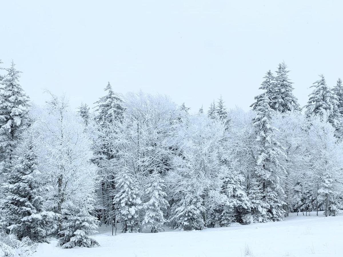 Snowshoe Ski-In & Ski-Out At Silvercreek Resort - Family Friendly, Jacuzzi, Hot Tub, Mountain Views Exteriör bild